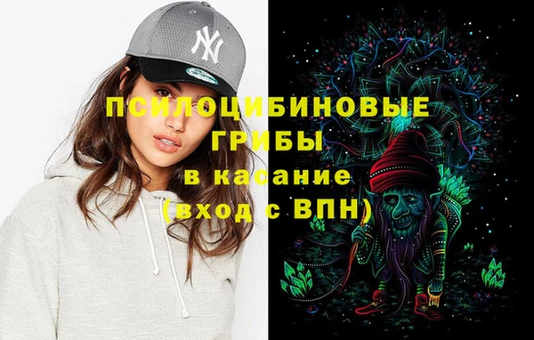 гашик Абаза