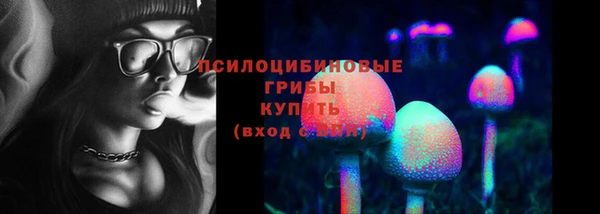 гашик Абаза